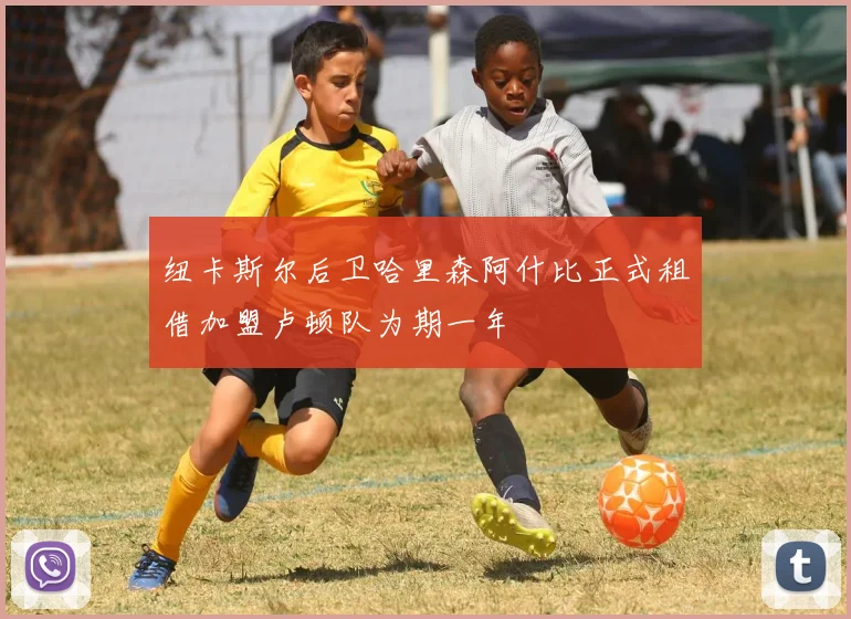 纽卡斯尔后卫哈里森阿什比正式租借加盟卢顿队为期一年