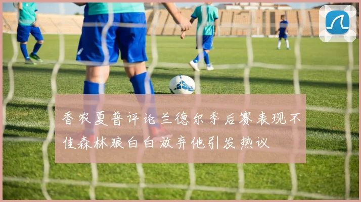 香农夏普评论兰德尔季后赛表现不佳森林狼白白放弃他引发热议