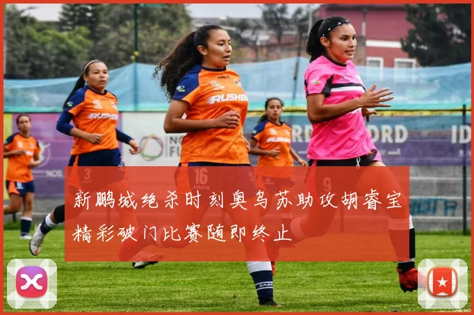 新鹏城绝杀时刻奥乌苏助攻胡睿宝精彩破门比赛随即终止